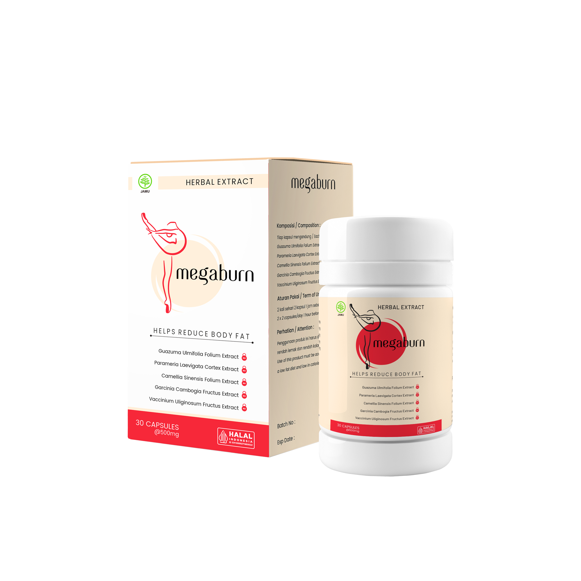 Megaburn
